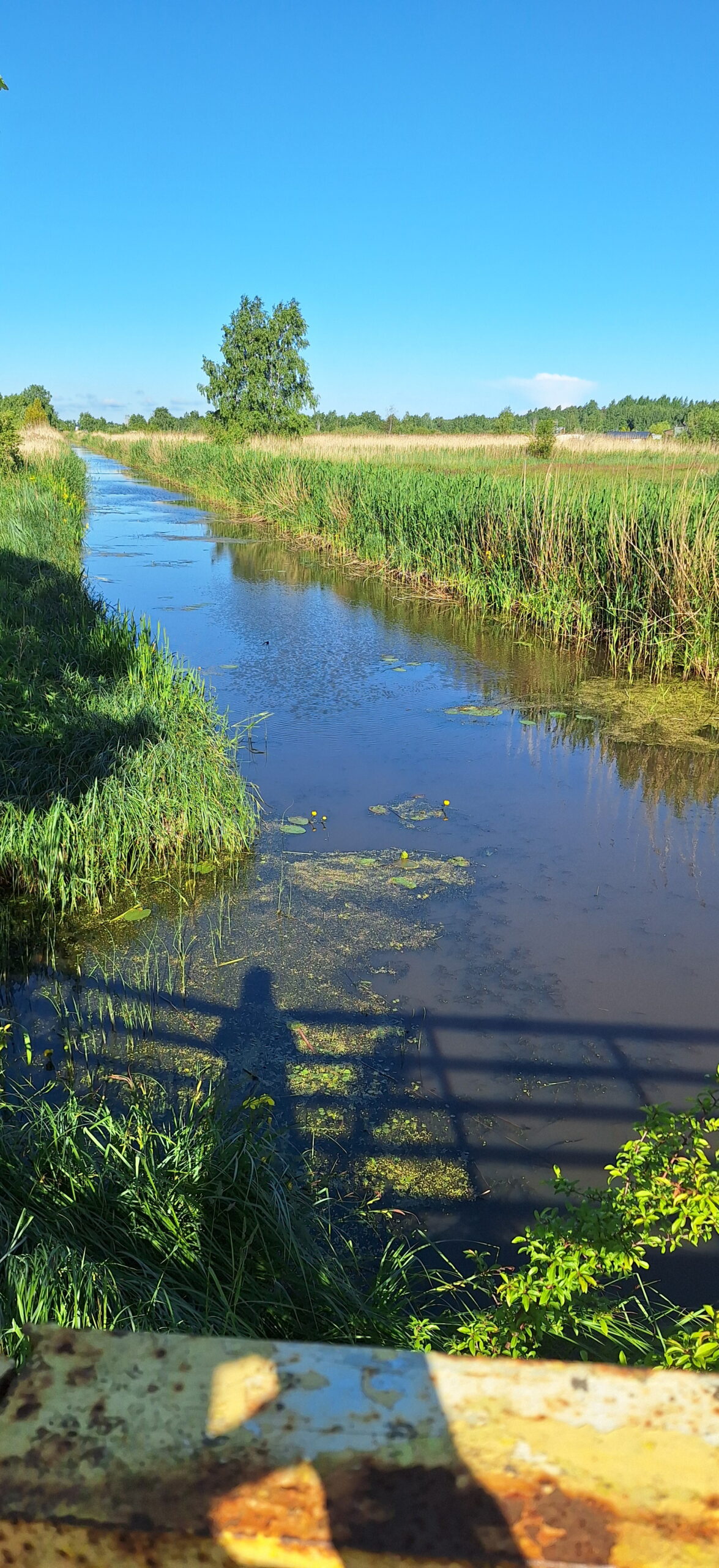 Rzeka w Ostrowie